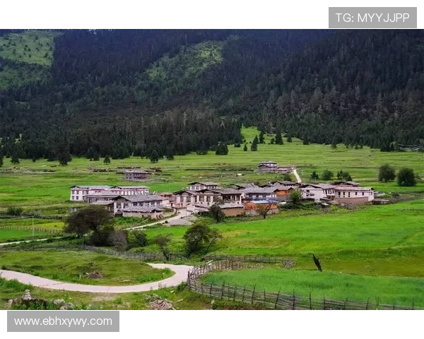 伯恩茅斯俱乐部崛起之路探秘从小镇球队到英何缔造绿色传奇