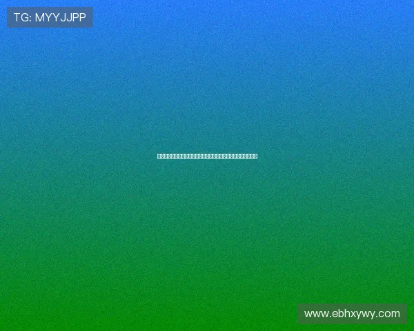 弗赖堡足球俱乐部近期动态：新赛季备战与球员转会最新消息解析