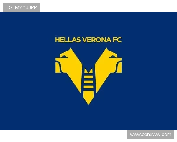 维罗纳俱乐部的辉煌历程与未来发展展望